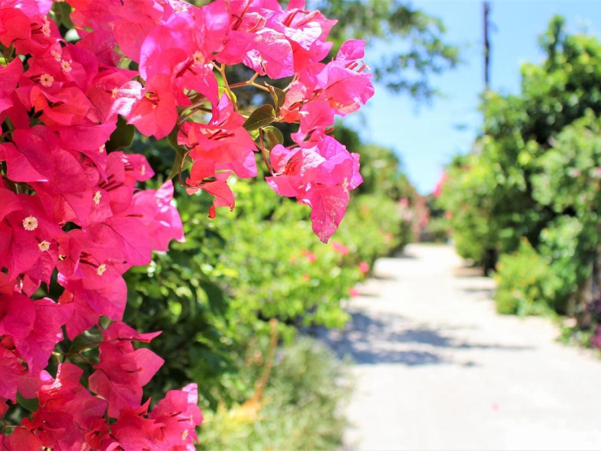 The Avance Hotel Ishigakijima - Vacation Stay 85735V Ishigaki  外观 照片